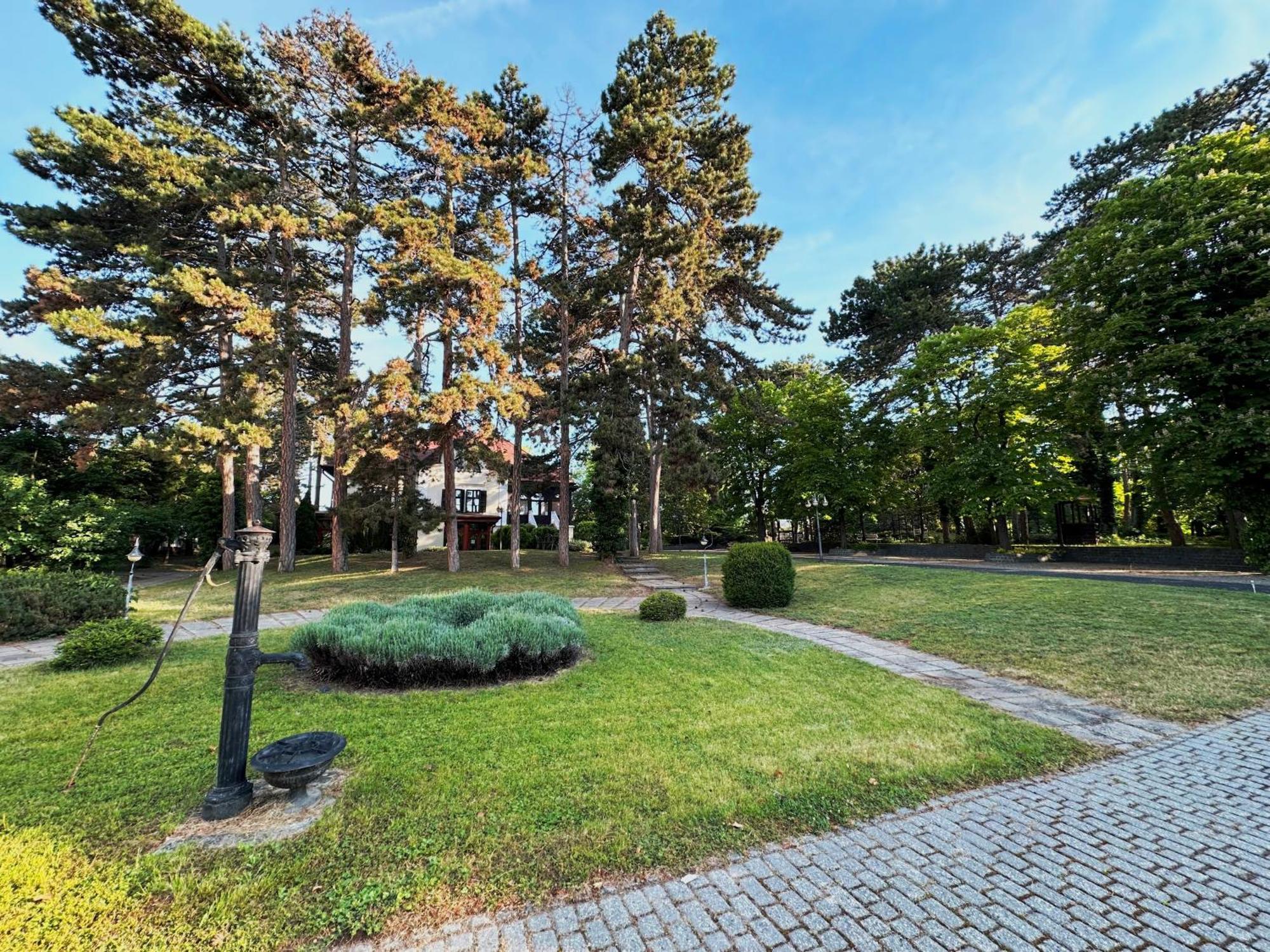 Отель Imola Garden Vendeghaz Балатонфюред Экстерьер фото